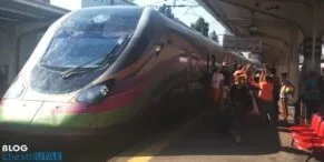 tren softronic