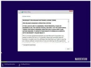 termeni si conditii windows 10