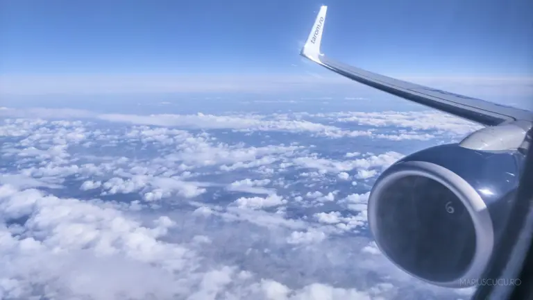 aripa avion