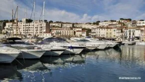 cassis 14