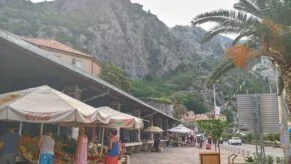 kotor