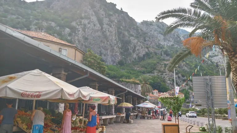kotor