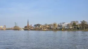 frankfurt faleza