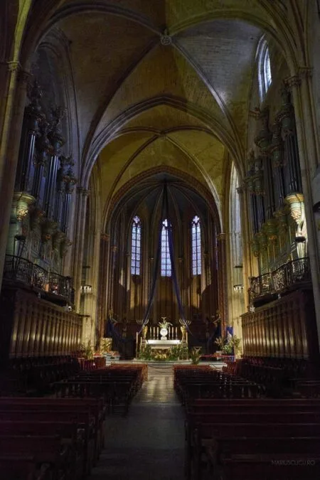 avignon interior