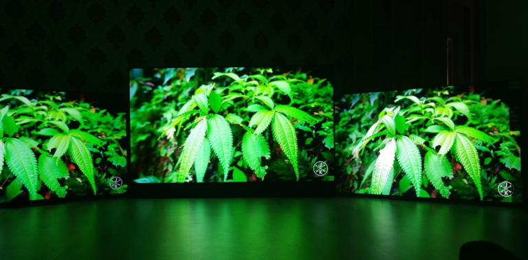 comparatie televizoare sony philips panasonic