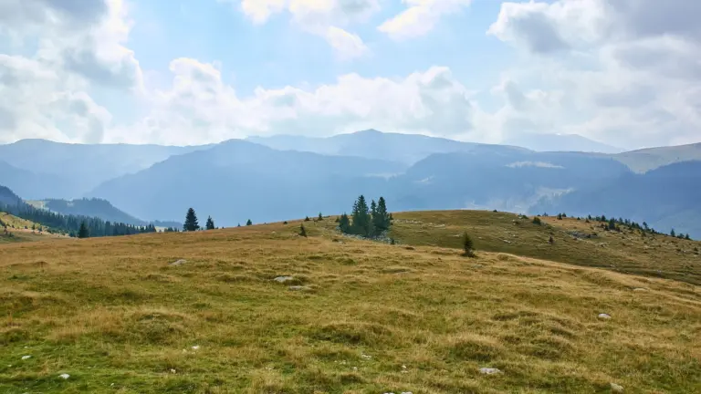 transalpina