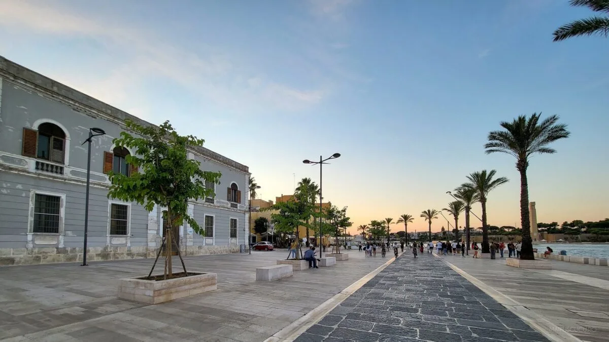 apus brindusi port