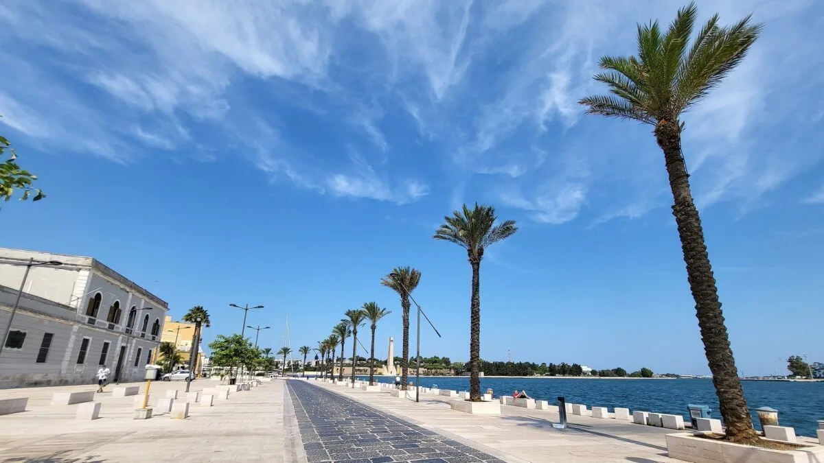 port ziua brindisi palmieri