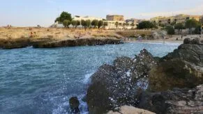 apa monopoli