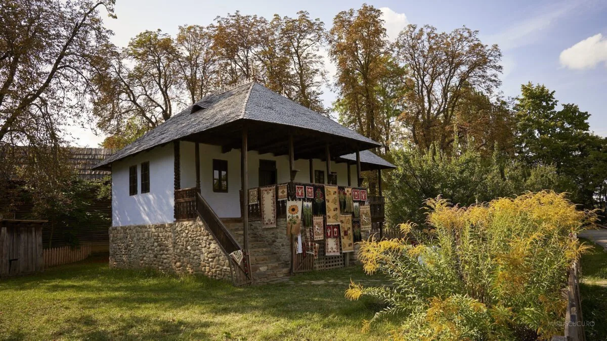casa traditionala muzeu staului