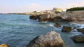stanca brindisi