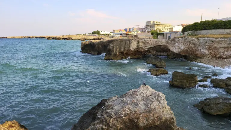 stanca brindisi