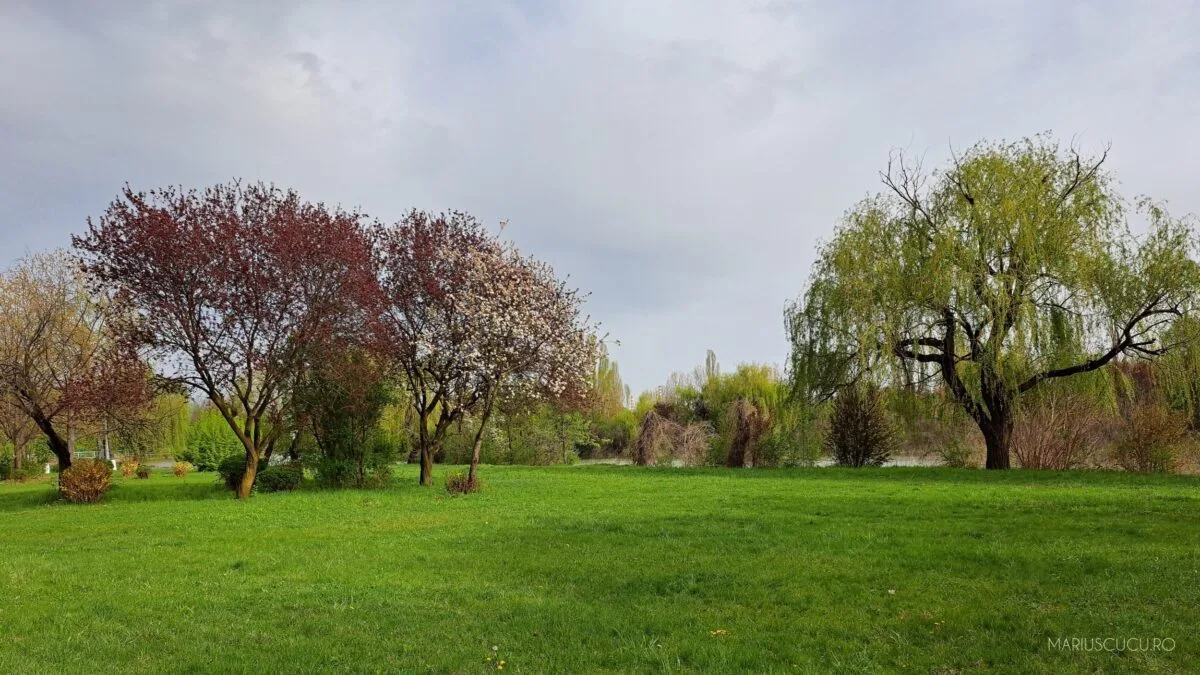 landscape detaliu samsung a53