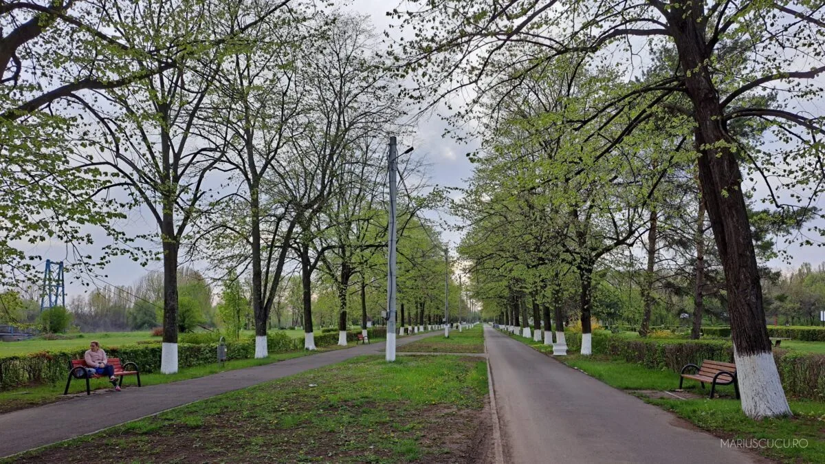 parc cladiri samsung a53