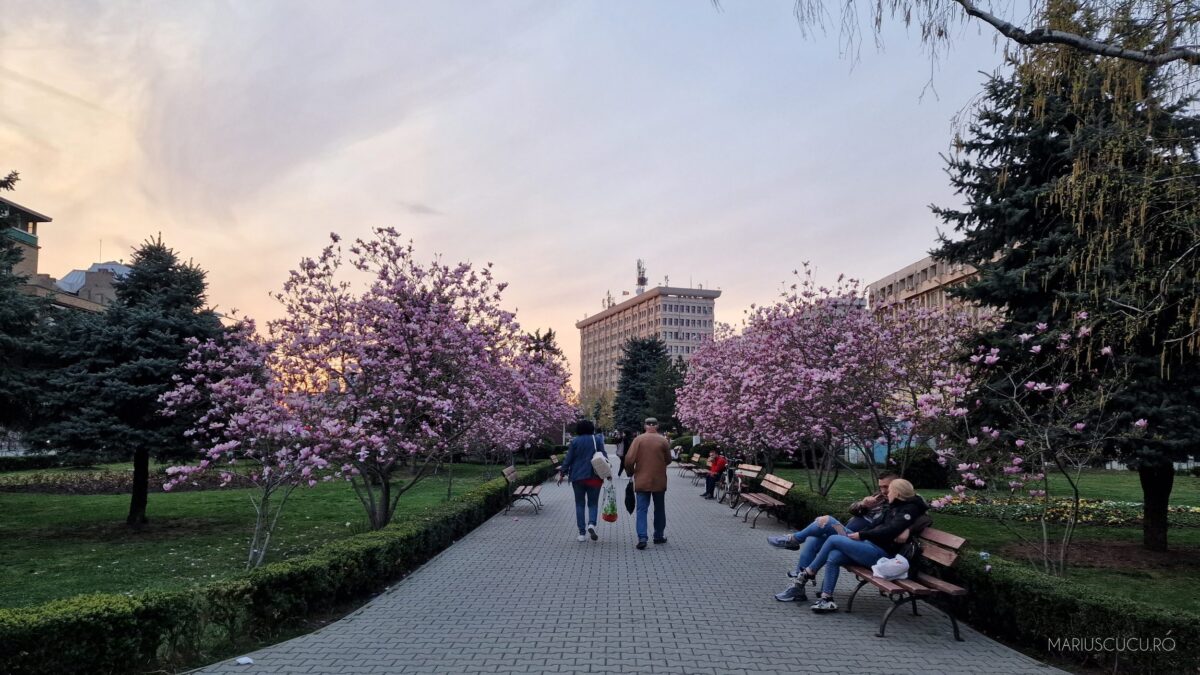 samsung s22 ultra 10