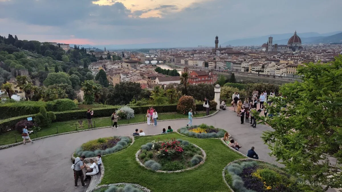 florenta viewpoint