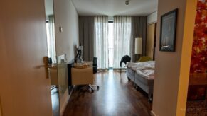 intrare scandic berlin