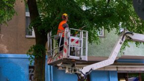 toaletare pomi berlin