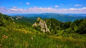 stanci munte