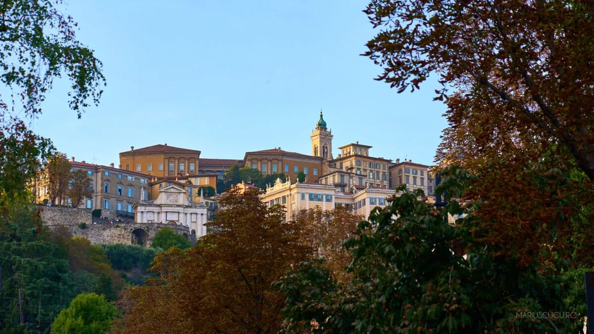Cita Alta