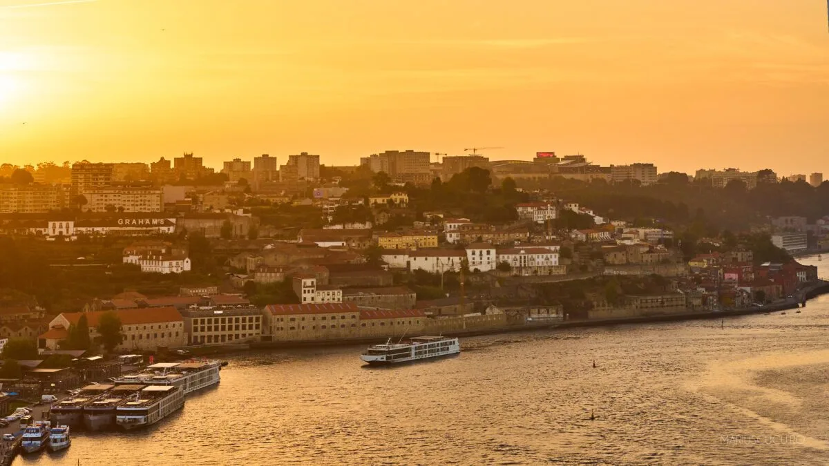 apus porto fain