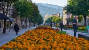 flori braga parc