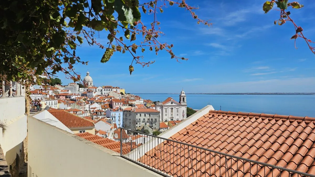 viewpoint lisabona