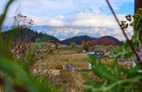 cheile gradistei