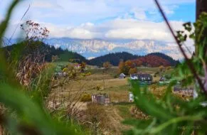 cheile gradistei