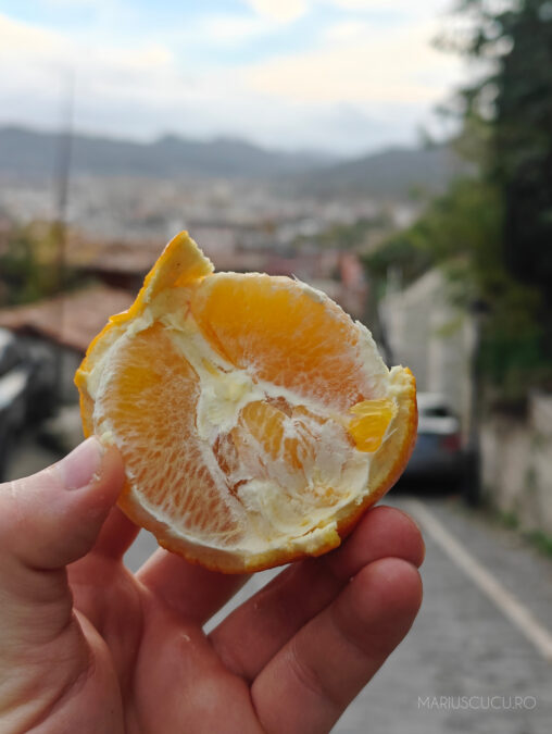 portocala coapta albania