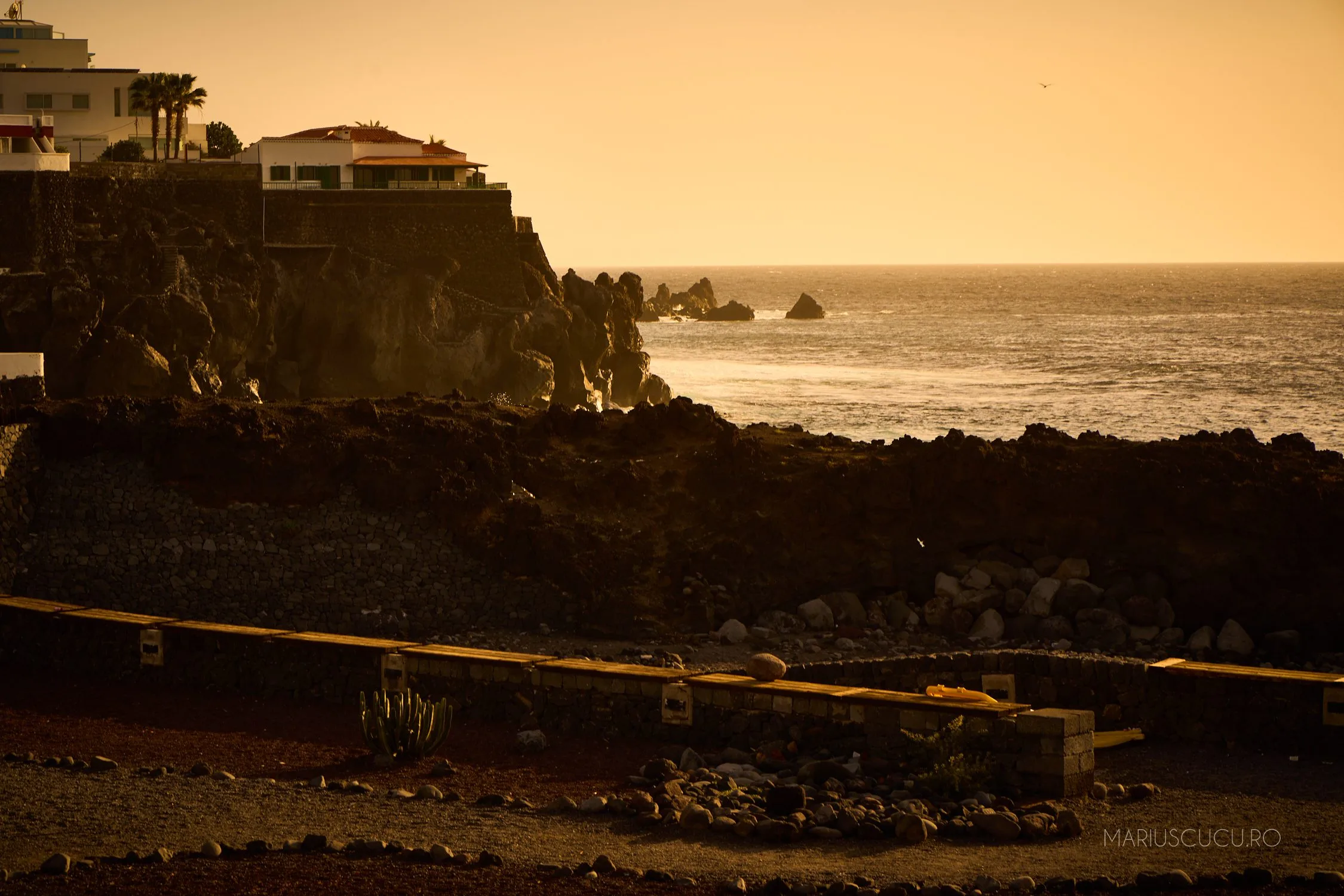 apus tenerife sus