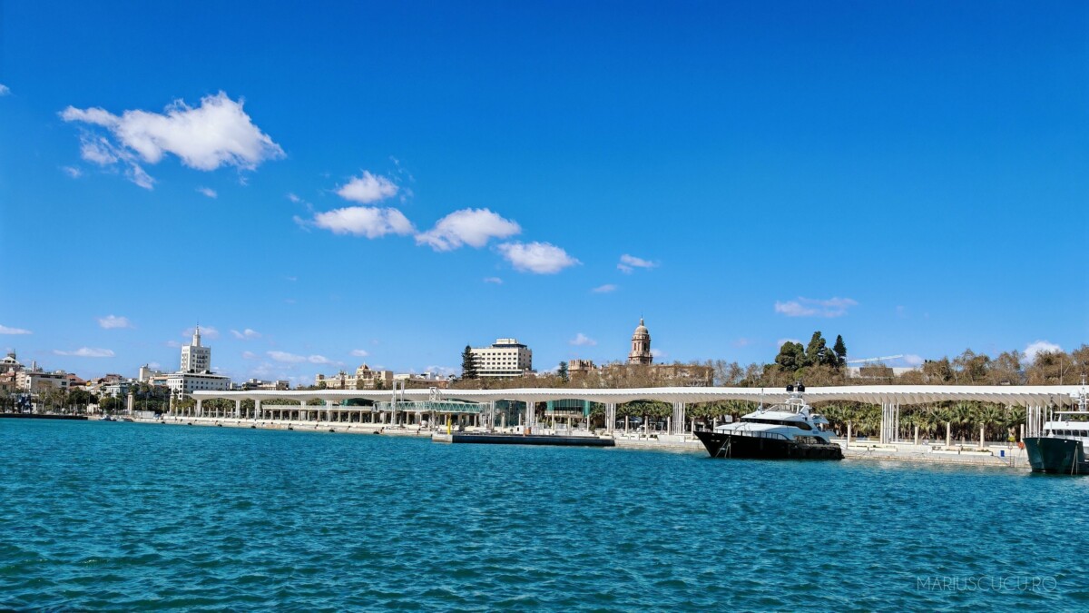 3x malaga
