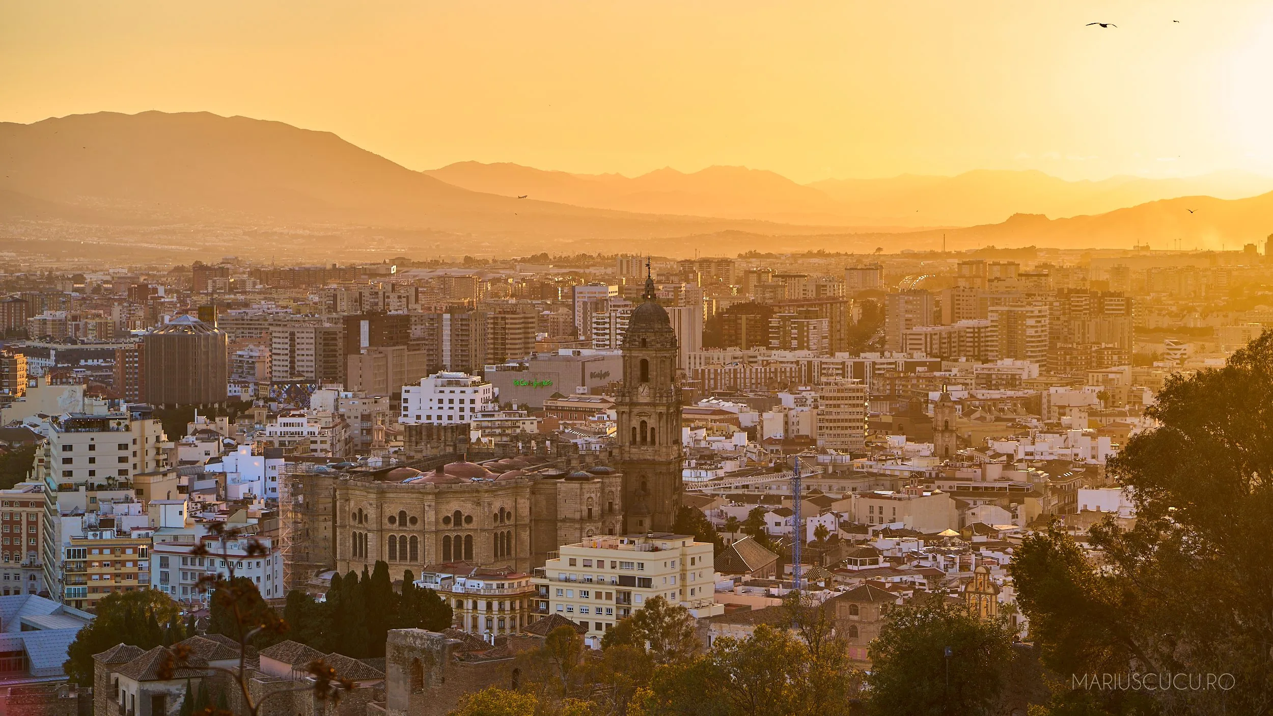 apus malaga sus