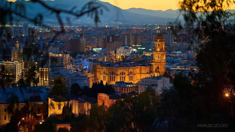malaga view sus