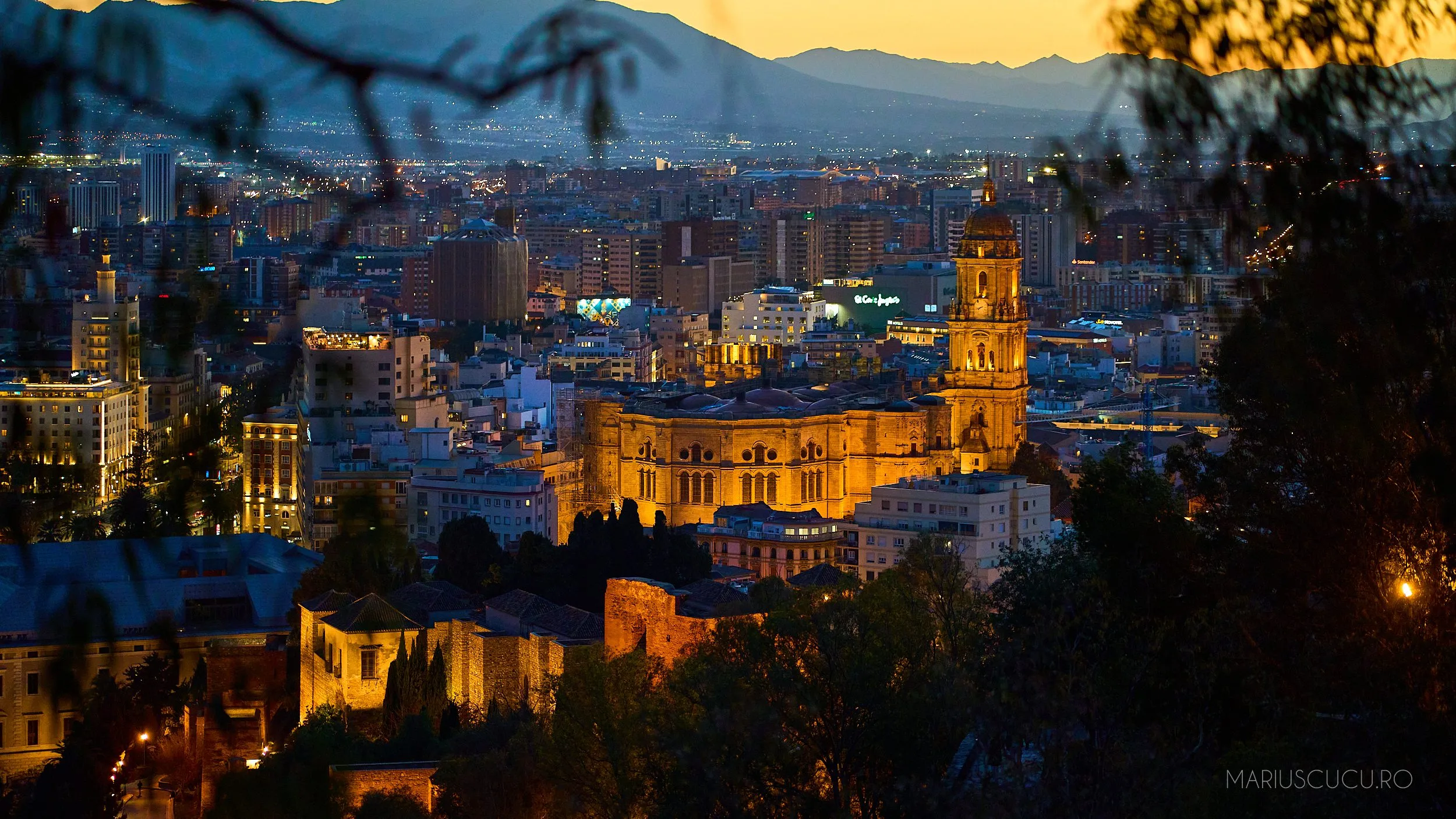 malaga view sus