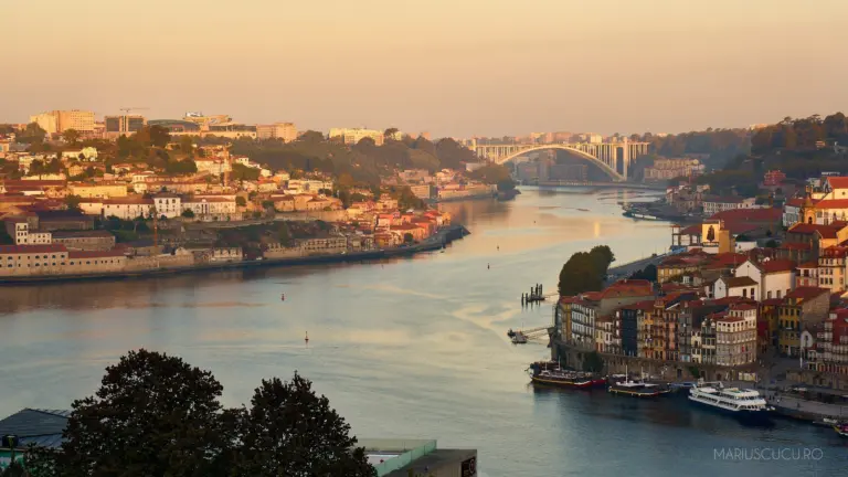 portugalia porto viewpoint