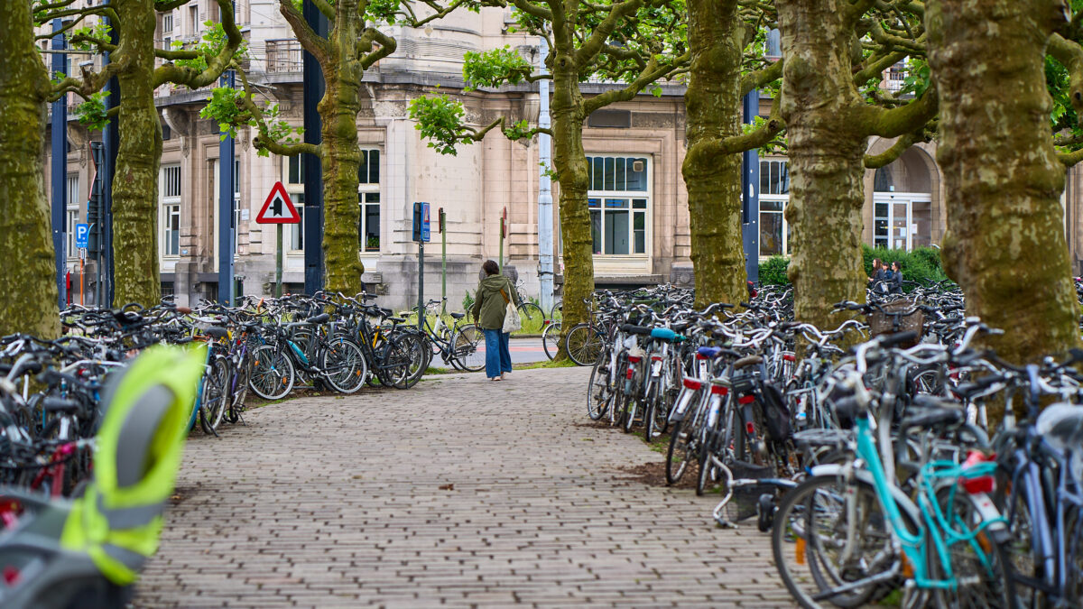 biciclete gent