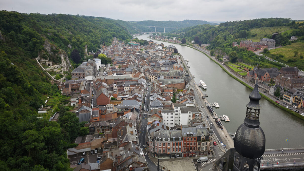 dinant sus