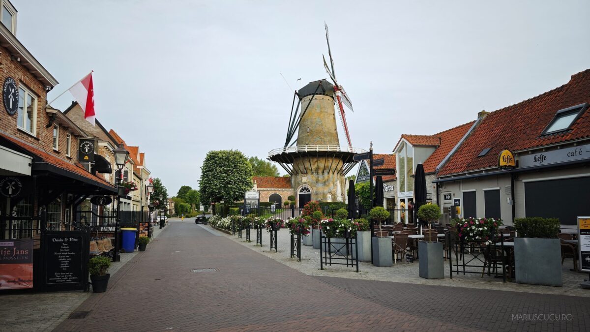 poza belgia xiaomi alex