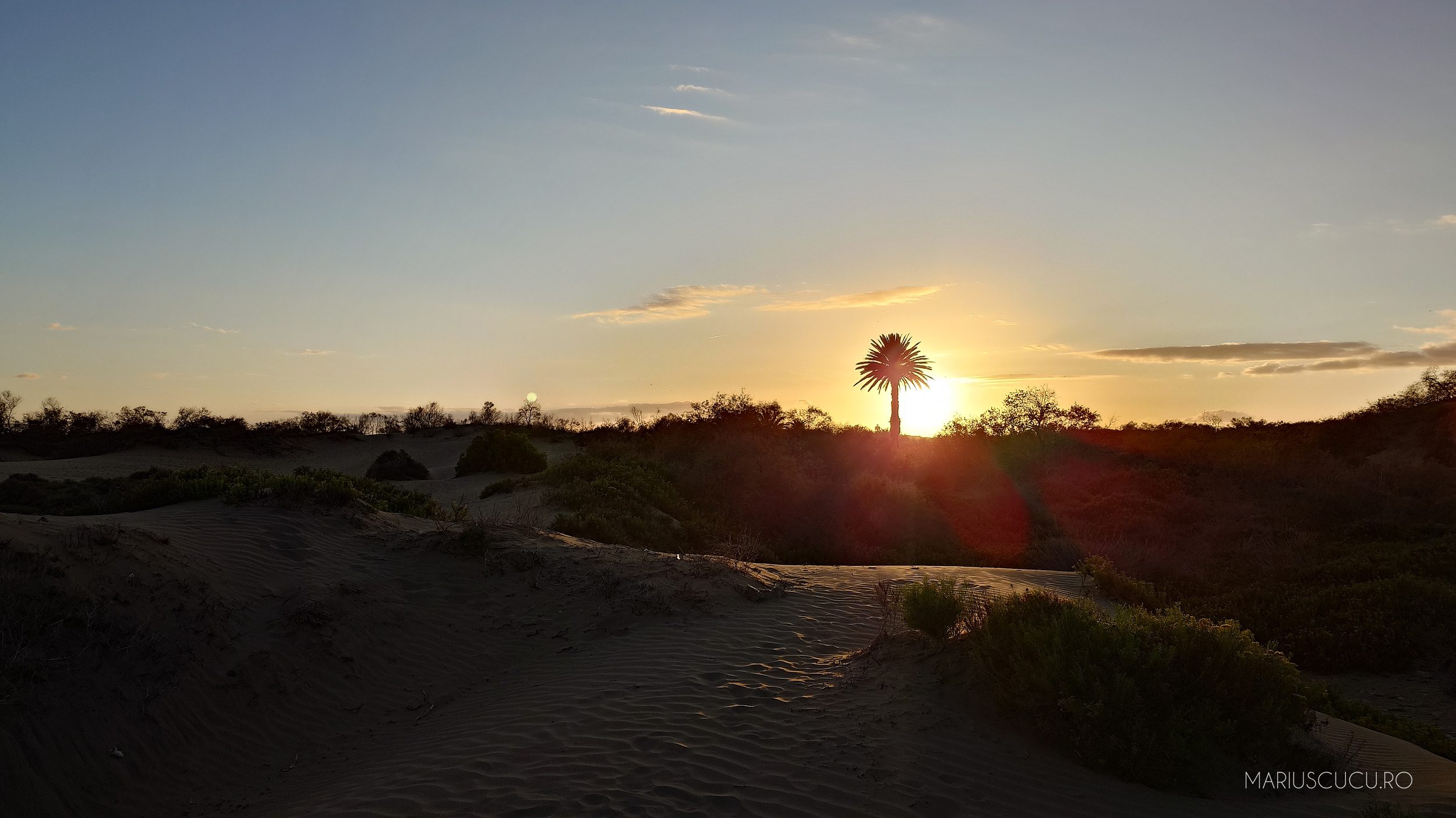 apus maspalomas