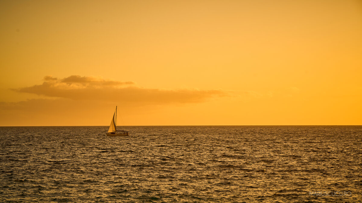 barca gran canaria