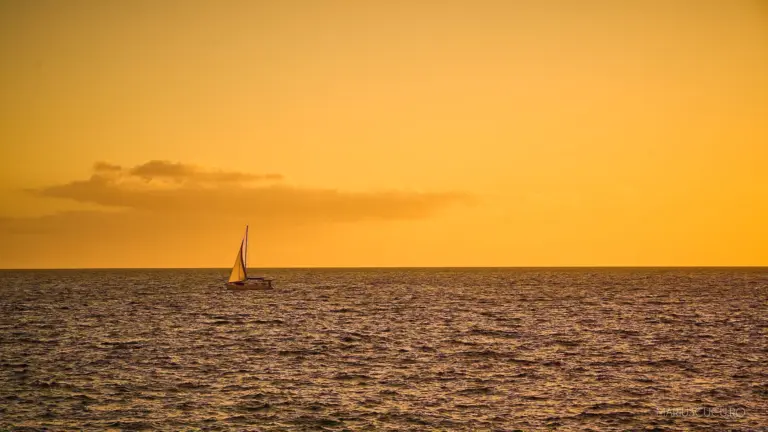 barca gran canaria