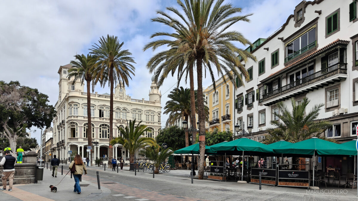 palmieri gran canaria