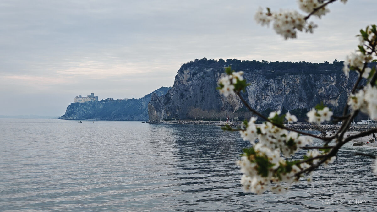 poza stanca castel