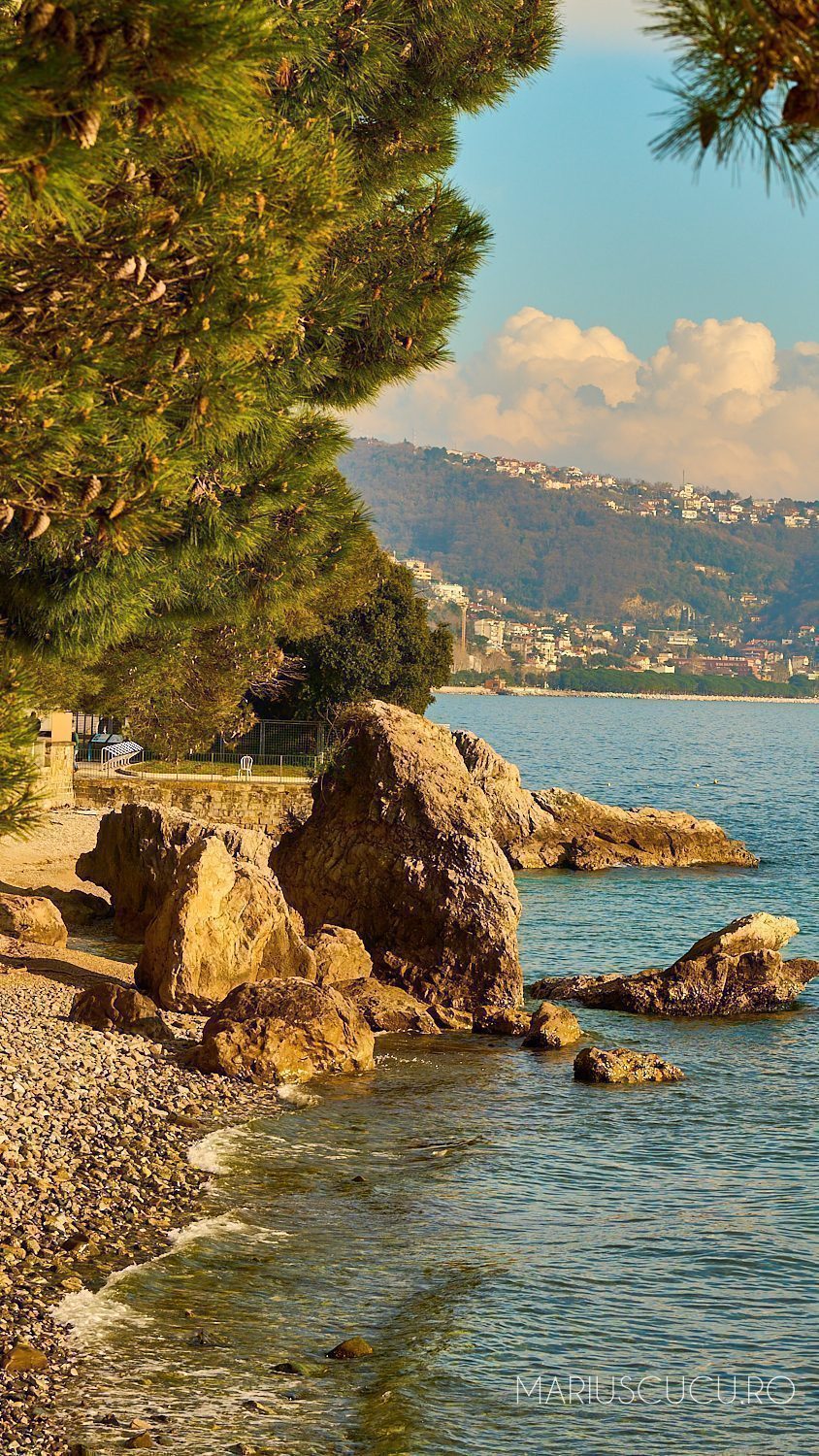 stanci trieste