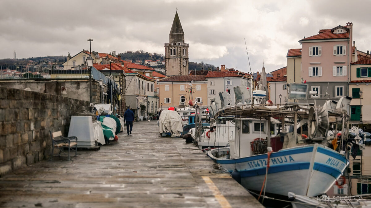 trieste port