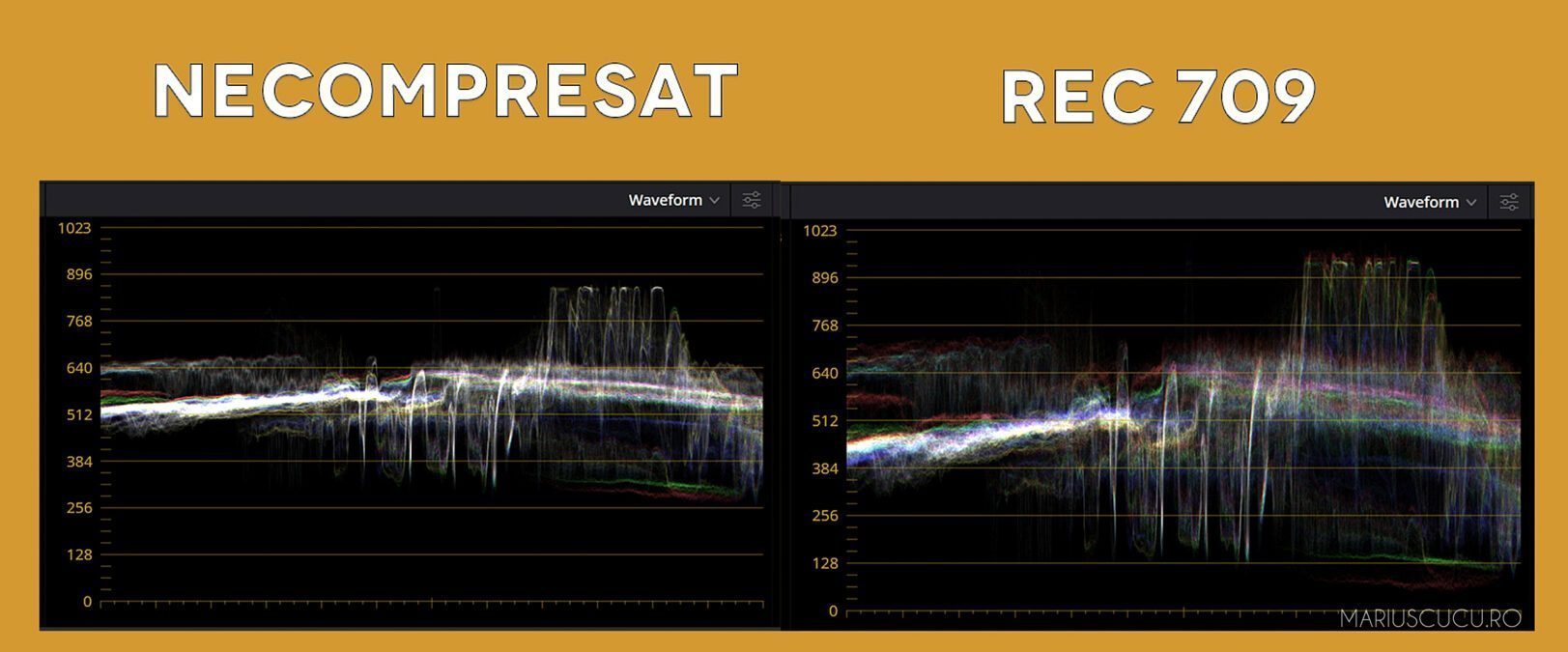 compresie waveform