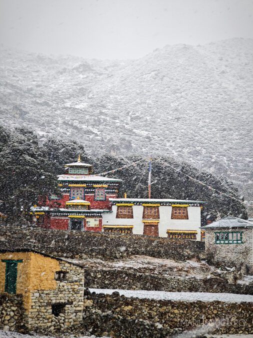 ninsoare himalaya