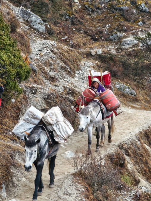 porteri nepal