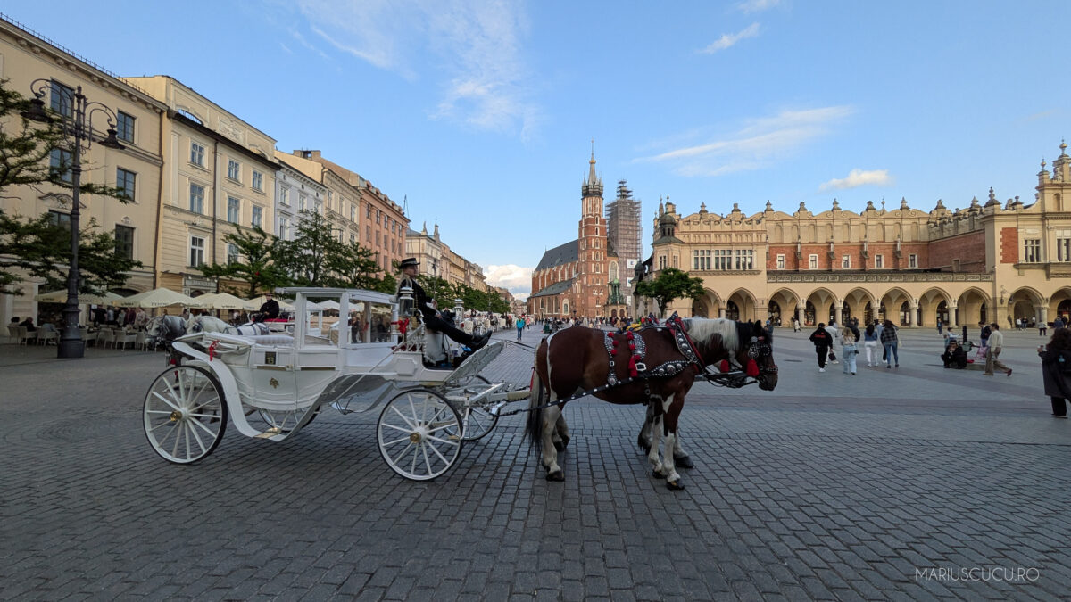 animale cracovia